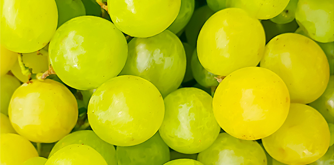 ingredient Green grape